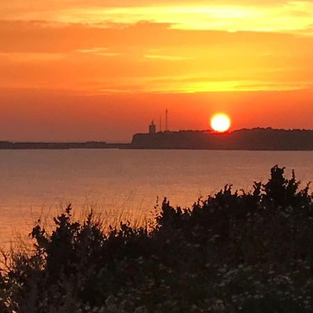 Conil, Descanso En La Dehesa Conil de la Frontera Kültér fotó